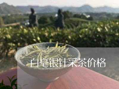 白毫银针采茶价格/2023090755826