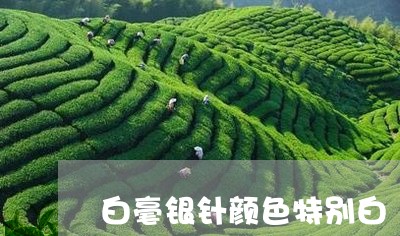 白毫银针颜色特别白/2023120616938