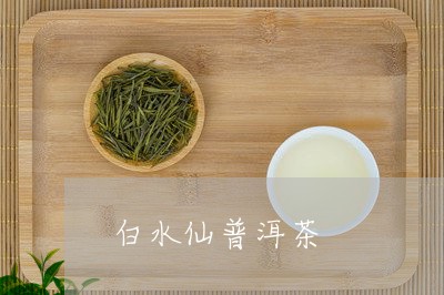 白水仙普洱茶/2023042793491