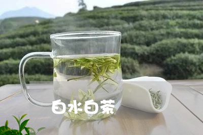 白水白茶/2023042517592