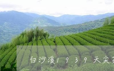 白沙溪1939天尖茶价格/2023051108369