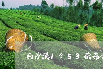 白沙溪1953茯茶价格338克/2023060204156