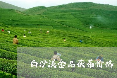 白沙溪金品茯茶价格/2023042353926