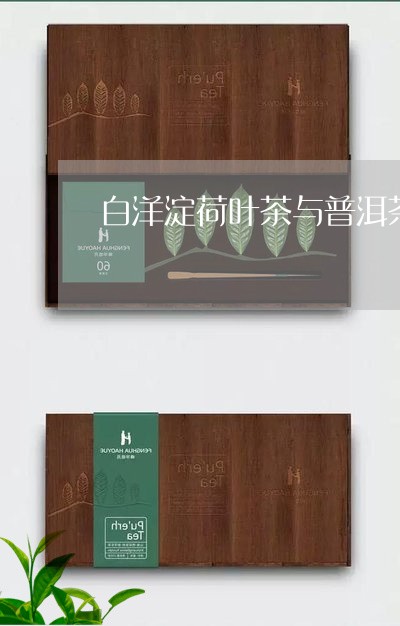 白洋淀荷叶茶与普洱茶/2023062183836