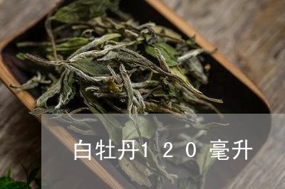 白牡丹120毫升/2023090610372