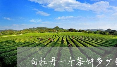 白牡丹一个茶饼多少钱/2023120905848