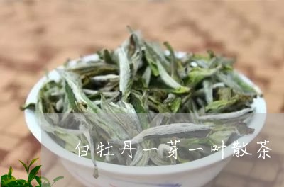 白牡丹一芽一叶散茶/2023091340505