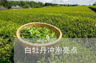 白牡丹冲泡亮点/2023112396360