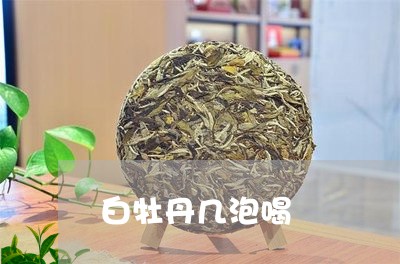 白牡丹几泡喝/2023090644047