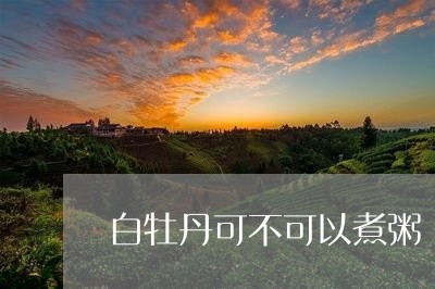 白牡丹可不可以煮粥/2023120545169