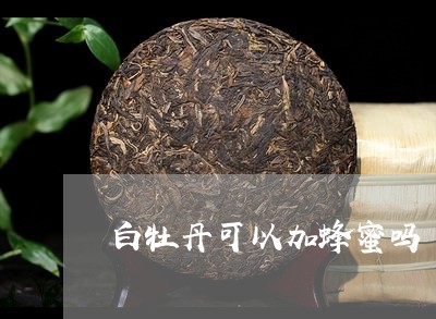 白牡丹可以加蜂蜜吗/2023120562827