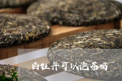 白牡丹可以泡茶吗/2023090654946