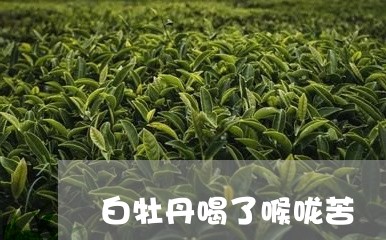 白牡丹喝了喉咙苦/2023090671715