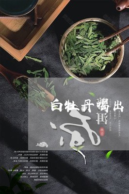 白牡丹喝出了薄荷味/2023120513914