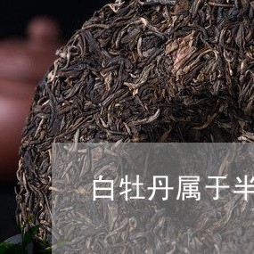 白牡丹属于半发酵茶吗/2023091772049