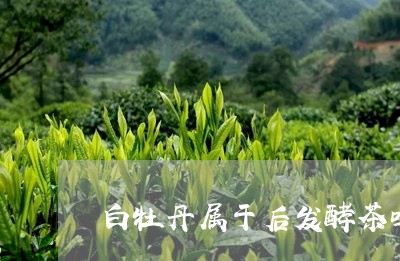 白牡丹属于后发酵茶吗/2023120995060