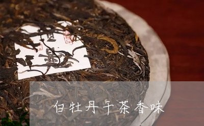 白牡丹干茶香味/2023112344048