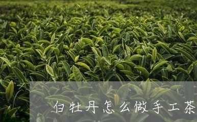 白牡丹怎么做手工茶饼/2023120958250