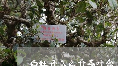 白牡丹怎么开茶叶盒/2023091327351