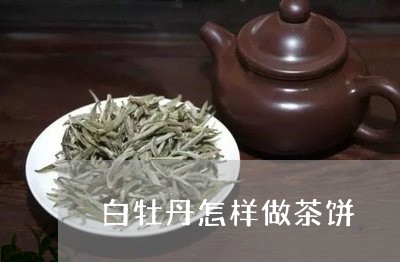 白牡丹怎样做茶饼/2023090628391