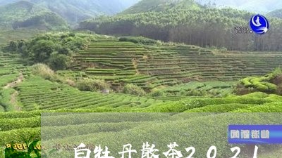 白牡丹散茶2021/2023120594926