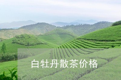 白牡丹散茶价格/2023112312037