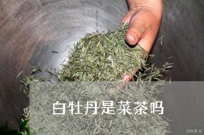 白牡丹是菜茶吗/2023112329503