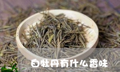 白牡丹有什么香味/2023090689381