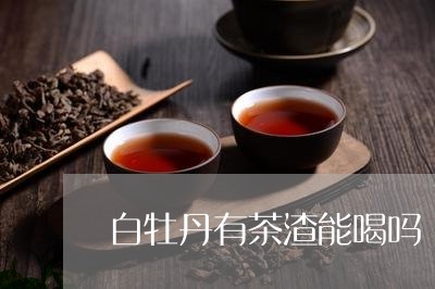 白牡丹有茶渣能喝吗/2023091373725