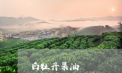 白牡丹果油/2023082753626