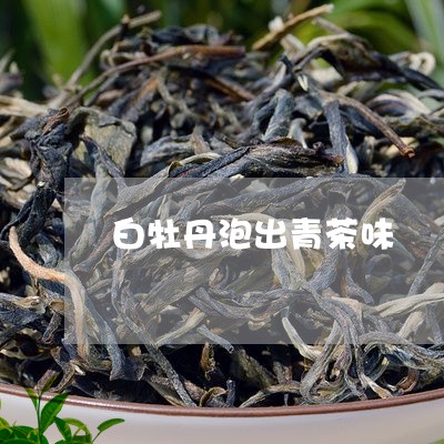 白牡丹泡出青茶味/2023090612814