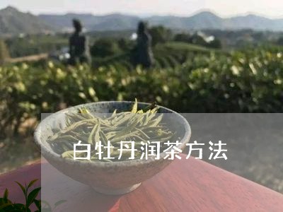 白牡丹润茶方法/2023112324825