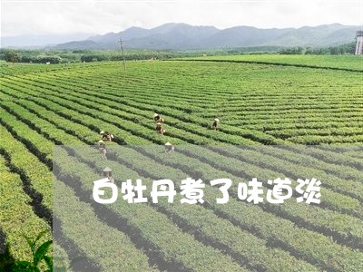 白牡丹煮了味道淡/2023090693626