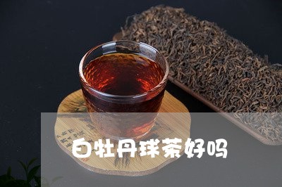 白牡丹球茶好吗/2023060347583