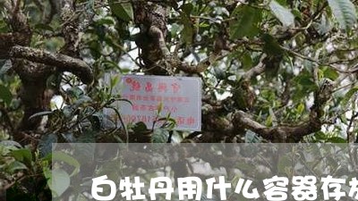 白牡丹用什么容器存放好/2023092391606