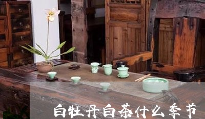 白牡丹白茶什么季节/2023120514949