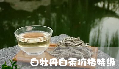 白牡丹白茶价格特级/2023120547481