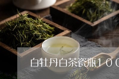 白牡丹白茶瓷瓶100g/2023062813929