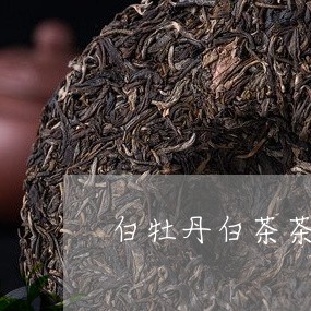 白牡丹白茶茶饼包装/2023120662815