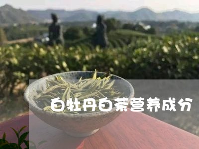 白牡丹白茶营养成分/2023120524059