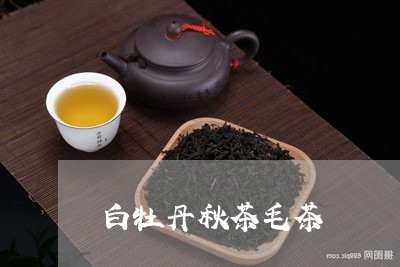 白牡丹秋茶毛茶/2023112339916