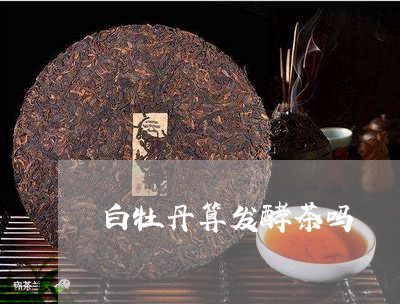 白牡丹算发酵茶吗/2023090604147