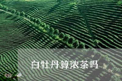 白牡丹算浓茶吗/2023112312916