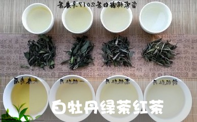 白牡丹绿茶红茶/2023112312825