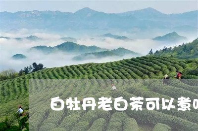 白牡丹老白茶可以煮吗/2023120917149