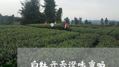 白牡丹苦涩味重吗/2023090544068