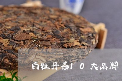 白牡丹茶10大品牌/2023121513937