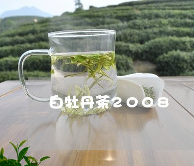 白牡丹茶2008/2023090661816