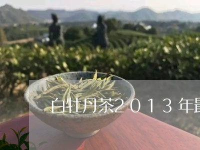 白牡丹茶2013年最新价格/2023062852684