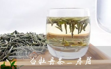 白牡丹茶_寿眉/2023112364957